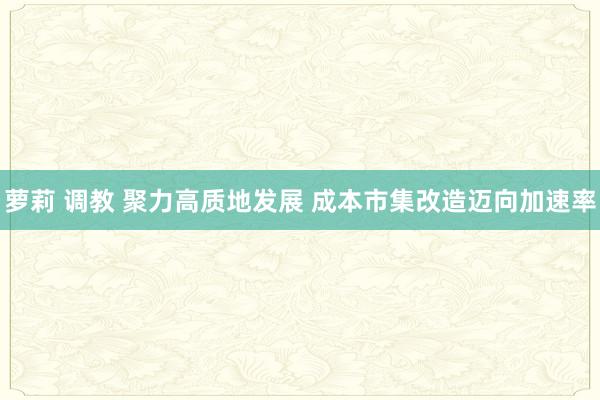 萝莉 调教 聚力高质地发展 成本市集改造迈向加速率