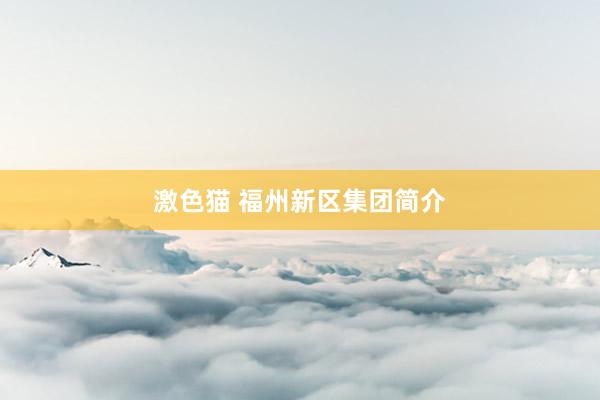 激色猫 福州新区集团简介