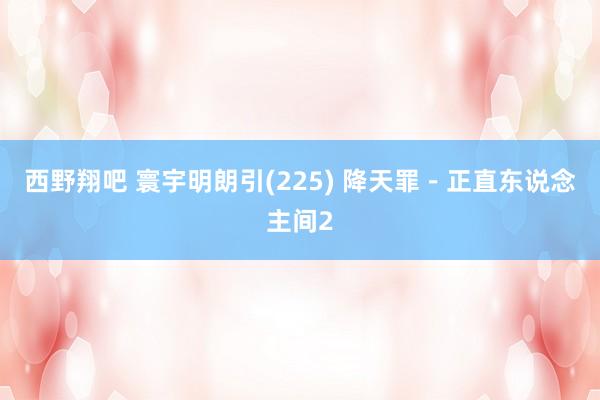 西野翔吧 寰宇明朗引(225) 降天罪－正直东说念主间2