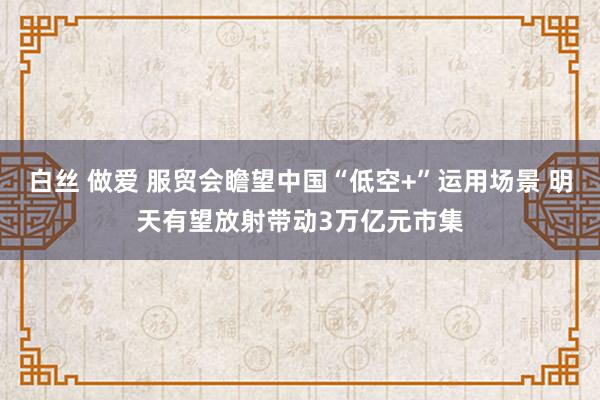 白丝 做爱 服贸会瞻望中国“低空+”运用场景 明天有望放射带动3万亿元市集