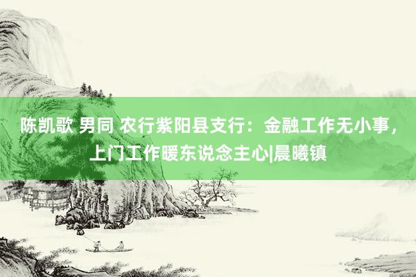 陈凯歌 男同 农行紫阳县支行：金融工作无小事，上门工作暖东说念主心|晨曦镇