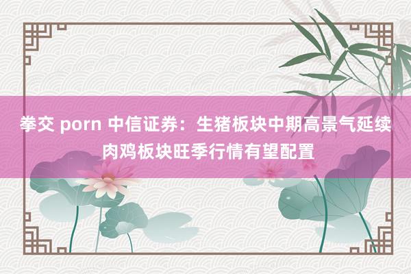 拳交 porn 中信证券：生猪板块中期高景气延续 肉鸡板块旺季行情有望配置