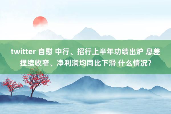 twitter 自慰 中行、招行上半年功绩出炉 息差捏续收窄、净利润均同比下滑 什么情况？
