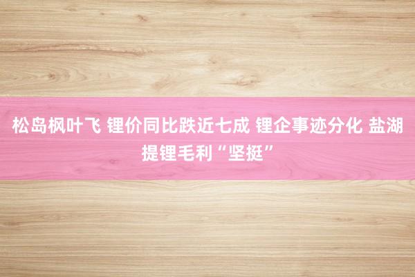 松岛枫叶飞 锂价同比跌近七成 锂企事迹分化 盐湖提锂毛利“坚挺”