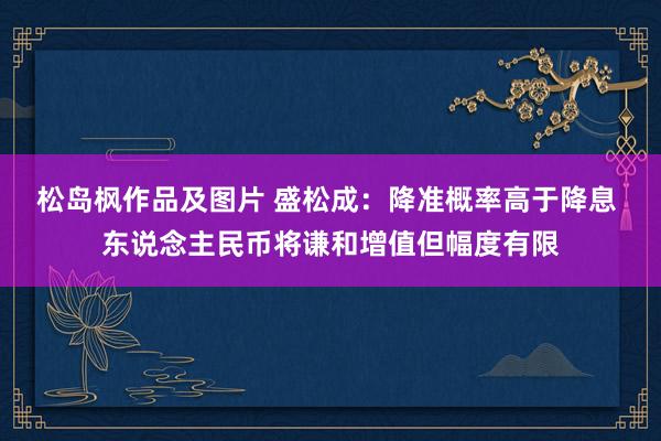 松岛枫作品及图片 盛松成：降准概率高于降息 东说念主民币将谦和增值但幅度有限