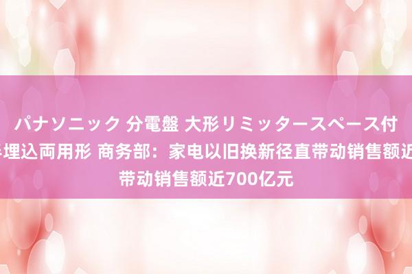 パナソニック 分電盤 大形リミッタースペース付 露出・半埋込両用形 商务部：家电以旧换新径直带动销售额近700亿元
