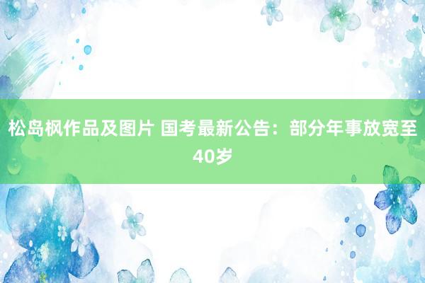 松岛枫作品及图片 国考最新公告：部分年事放宽至40岁