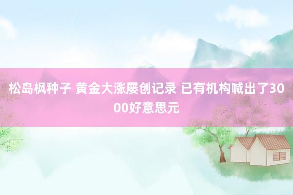 松岛枫种子 黄金大涨屡创记录 已有机构喊出了3000好意思元