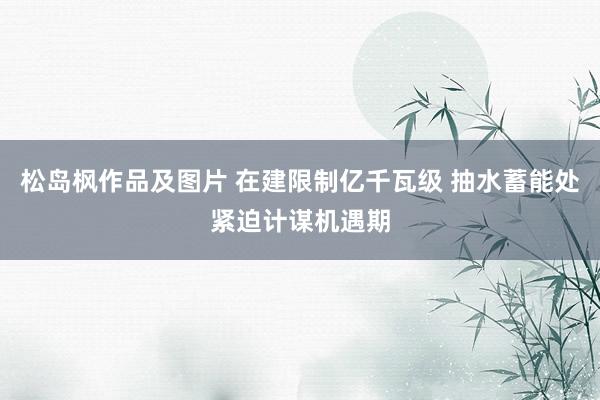 松岛枫作品及图片 在建限制亿千瓦级 抽水蓄能处紧迫计谋机遇期