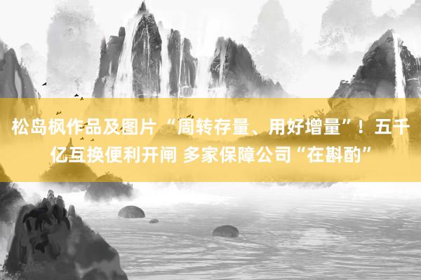 松岛枫作品及图片 “周转存量、用好增量”！五千亿互换便利开闸 多家保障公司“在斟酌”