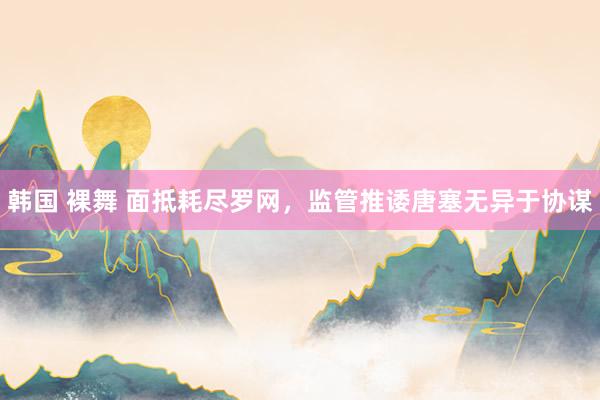 韩国 裸舞 面抵耗尽罗网，监管推诿唐塞无异于协谋