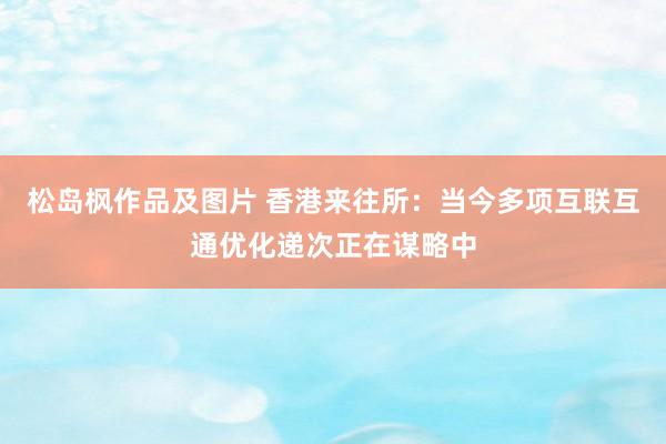 松岛枫作品及图片 香港来往所：当今多项互联互通优化递次正在谋略中