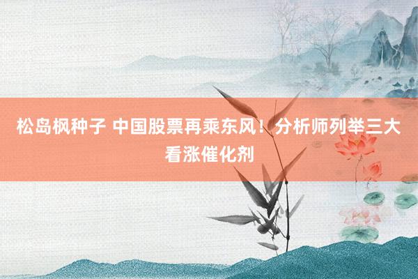 松岛枫种子 中国股票再乘东风！分析师列举三大看涨催化剂