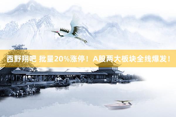 西野翔吧 批量20%涨停！A股两大板块全线爆发！