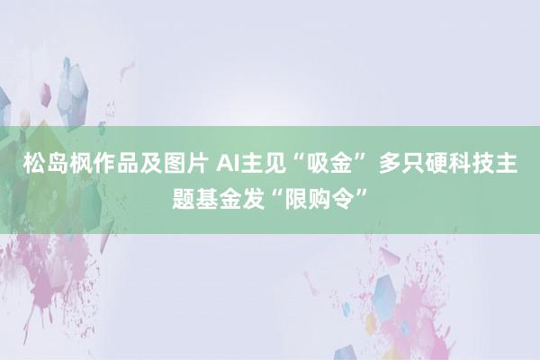 松岛枫作品及图片 AI主见“吸金” 多只硬科技主题基金发“限购令”