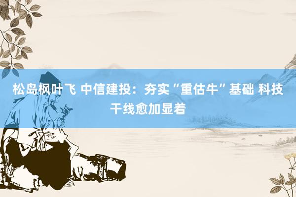 松岛枫叶飞 中信建投：夯实“重估牛”基础 科技干线愈加显着