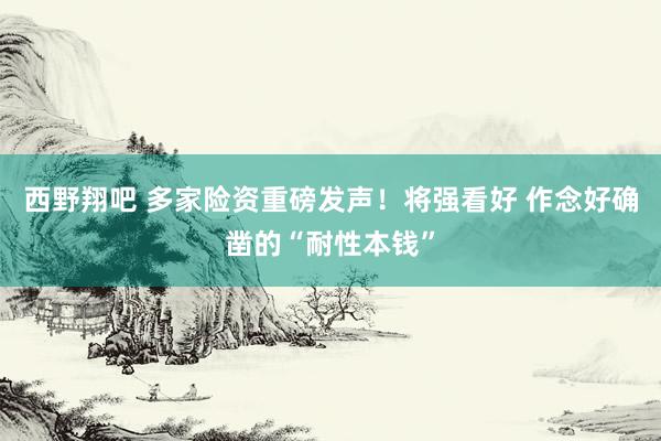 西野翔吧 多家险资重磅发声！将强看好 作念好确凿的“耐性本钱”