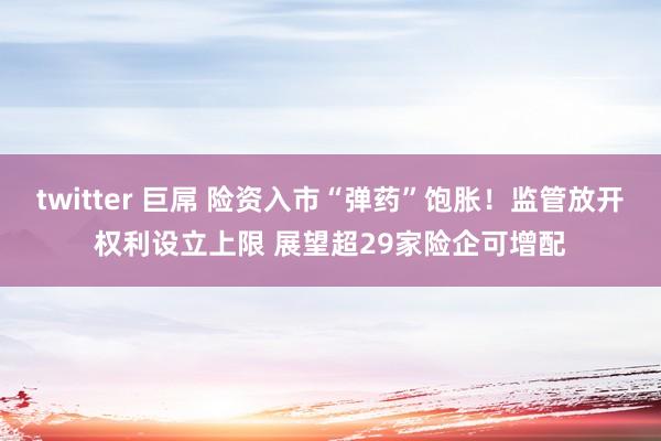twitter 巨屌 险资入市“弹药”饱胀！监管放开权利设立上限 展望超29家险企可增配