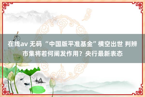 在线av 无码 “中国版平准基金”横空出世 判辨市集将若何阐发作用？央行最新表态