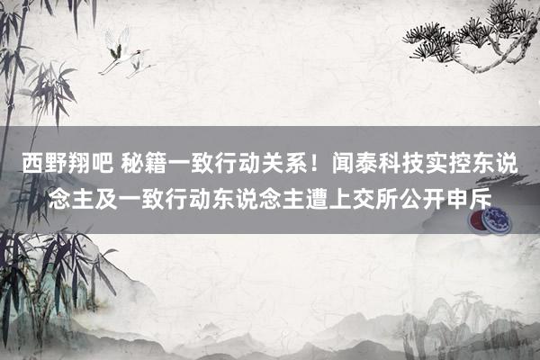 西野翔吧 秘籍一致行动关系！闻泰科技实控东说念主及一致行动东说念主遭上交所公开申斥