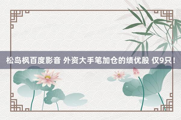 松岛枫百度影音 外资大手笔加仓的绩优股 仅9只！
