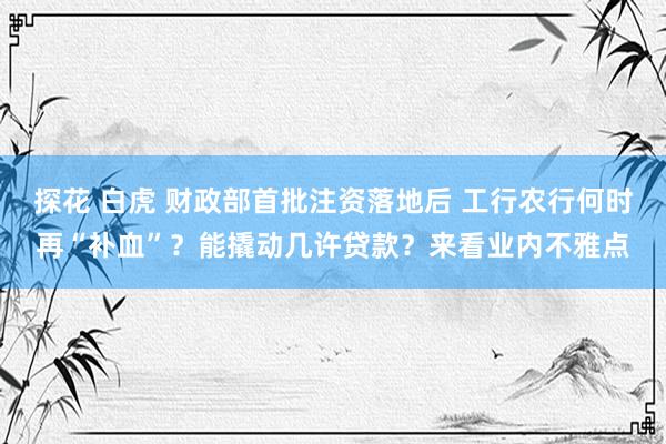 探花 白虎 财政部首批注资落地后 工行农行何时再“补血”？能撬动几许贷款？来看业内不雅点